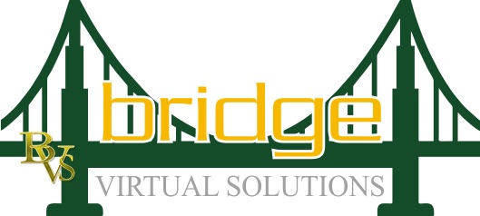 Bridge Virtual Solutions LLC